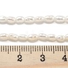 Natural Cultured Freshwater Pearl Beads Strands PEAR-P062-01D-5