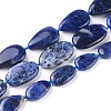 Natural Sodalite Beads Strands G-F645-10-1