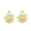 Alloy Charms AL-CBA1FD3-24G-02-2