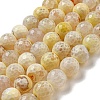 Faceted Natural Fire Crackle Agate Beads Strands G-F447-12mm-H02-1