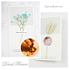 DIY Scrapbook AJEW-WH0100-199-4