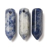 Natural Blue Spot Jasper Pointed Pendants G-C158-05A-1