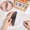 Eye PVC Headlight Car Sticker AJEW-WH20011-48D-3
