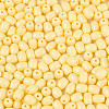 Baking Paint Glass Seed Beads SEED-N007-29G-3