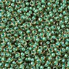 MIYUKI Round Rocailles Beads SEED-G007-RR0374-3
