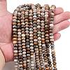 Natural Gobi Agate Beads Strands G-F668-25-B-6