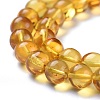 Natural Amber Beads Strands G-K308-C01-6mm-2