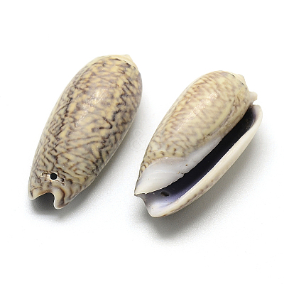 Spiral Shell Pendants LS-SSHEL-Q299-013-1