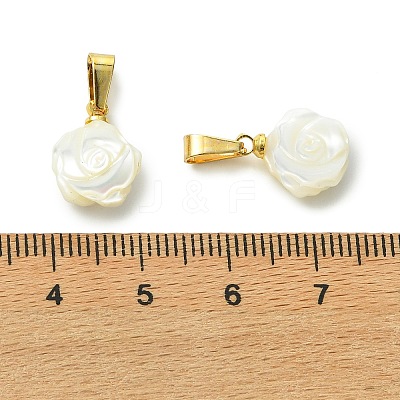Natural Trochid Shell/Trochus Shell Carved Pendants PALLOY-JF05631-1