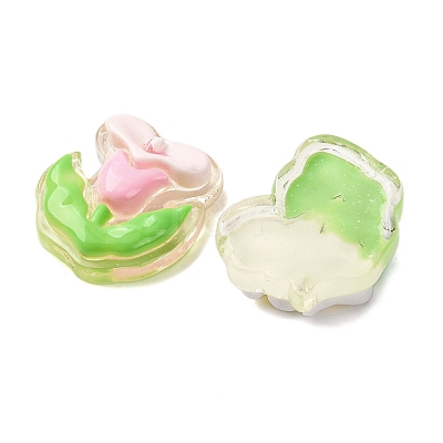 Transparent Resin Cabochons CRES-I046-09-1