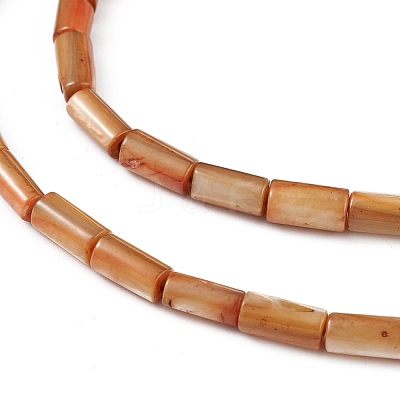 Natural Freshwater Shell Dyed Beads Strands SHEL-M018-11-11-1