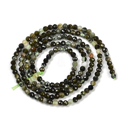 Natural Prehnite Beads Strands G-L628-B11-2mm-1