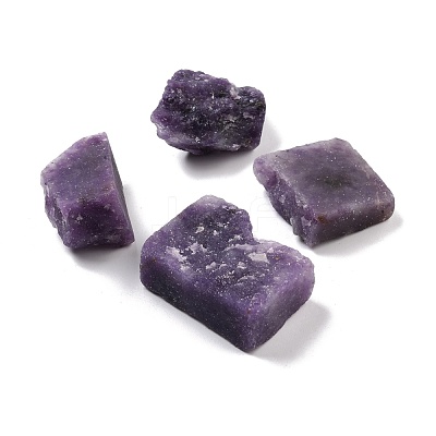 Rough Natural Lepidolite/Purple Mica Stone Beads G-D457-02-1