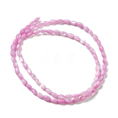 Natural Trochus Shell Beads Strands SHEL-K006-19-1