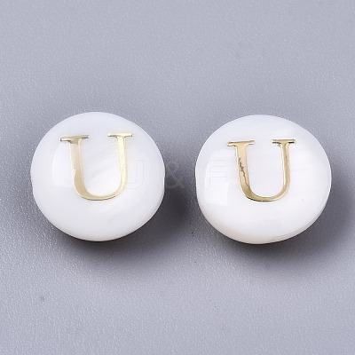 Natural Freshwater Shell Beads SHEL-S266-12U-1