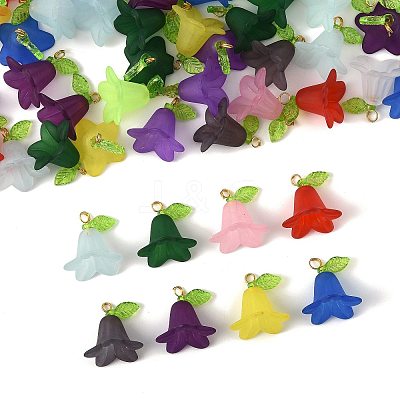 50Pcs Transparent Acrylic Pendants PALLOY-FS00043-05-1