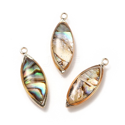 Brass Enamel Pendants KK-K252-10G-02-1