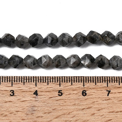 Natural Larvikite Beads Strands G-Z119-A32-01-1