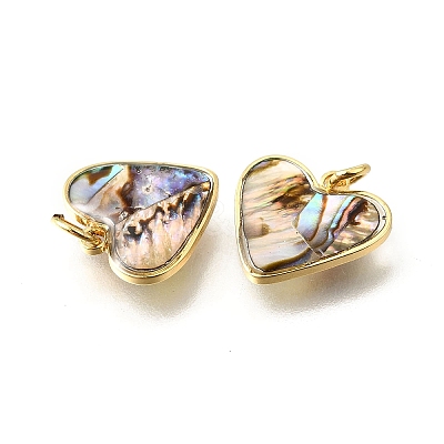 Natural Paua Shell & Epoxy Resin Charms KK-E794-02G-05-1