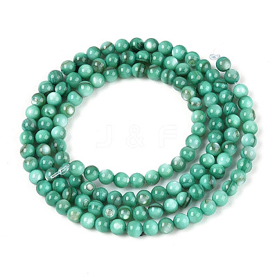 Natural Freshwater Shell Beads Strands X-BSHE-T009A-01J-1