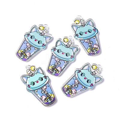 Transparent Printed Acrylic Pendants LS-TACR-G042-01E-1