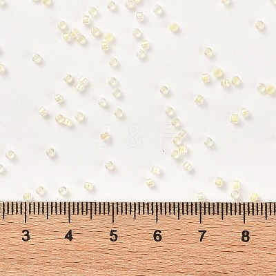 Cylinder Seed Beads SEED-H001-A08-1