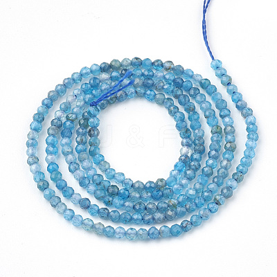 Natural Apatite Beads Strands G-T064-17-2mm-1