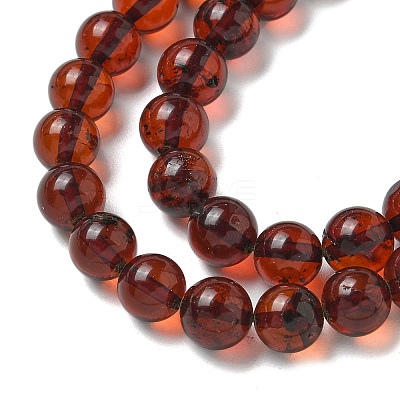 Natural Amber Beads Strands G-K387-D01-01-1
