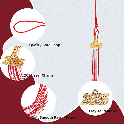Polyester Graduation Tassel Pendant Decorations AJEW-WH20020-078E-1