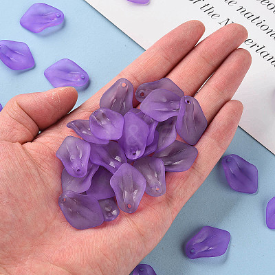 Transparent Frosted Acrylic Pendants MACR-S371-03A-747-1
