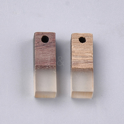 Resin & Walnut Wood Pendants RESI-S358-19C-1