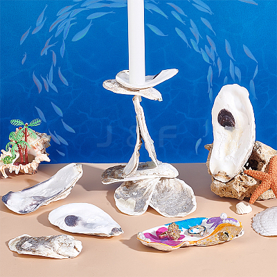 30Pcs 3 Styles Oyster Shell DIY-PH0029-34-1