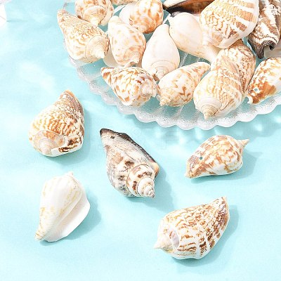 Natural Conch Shell Beads BSHE-O007-57-1
