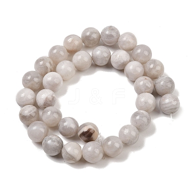 Round Natural Crazy Lace Agate Beaded Strands G-L374-01-12mm-1