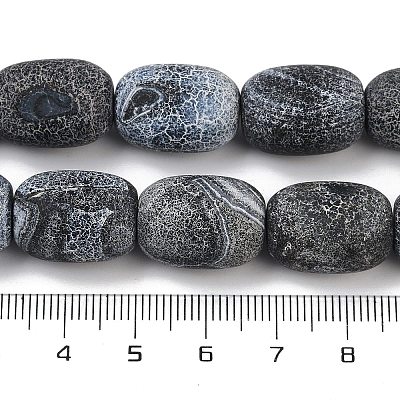 Natural Weathered Agate Beads Strands G-NH0047-B09-02-1
