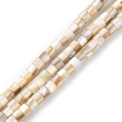 Natural Freshwater Shell Beads Strands SHEL-R129-05-1