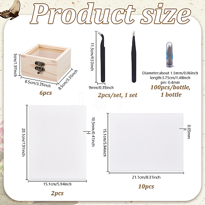Insect Specimen DIY Kit WOCR-GA0001-02-1