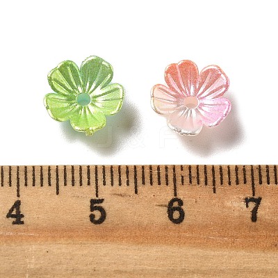 Gradient Color Acrylic Bead Caps OACR-Z028-01-1