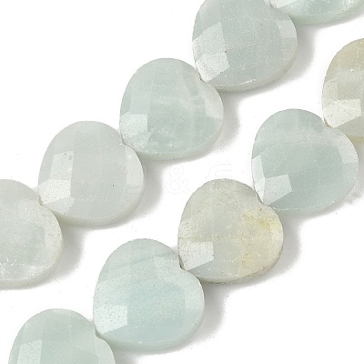 Natural Flower Amazonite Beads Strands G-A309-A10-01-1