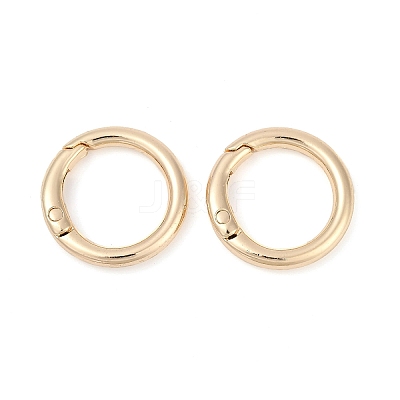 Alloy Spring Gate Clasps FIND-H012-05KCG-1