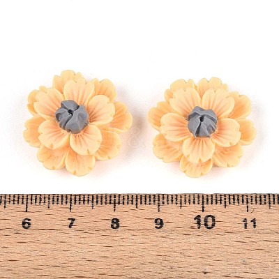 Resin Decoden Cabochons CRES-T025-04B-1