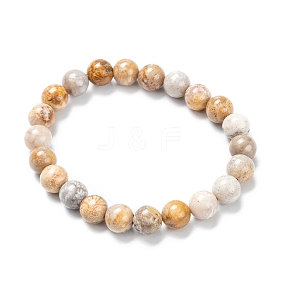 Natural Fossil Coral Stretch Beaded Bracelets G-A185-01X-1