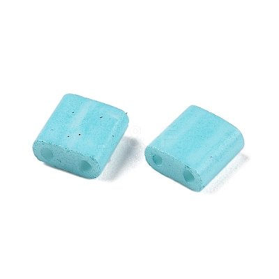 2-Hole Baking Paint Glass Seed Beads SEED-S023-17C-05-1