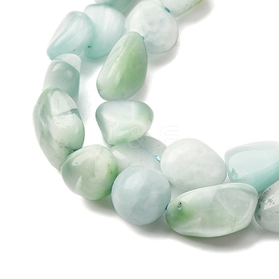 Natural Glass Beads Strands G-K395-A02-02-1