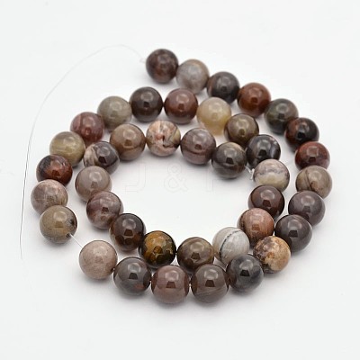 Natural Petrified Wood Round Beads Strands G-P101-01-6mm-1