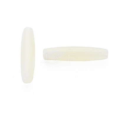Transparent Acrylic Beads MACR-S373-83-B01-1