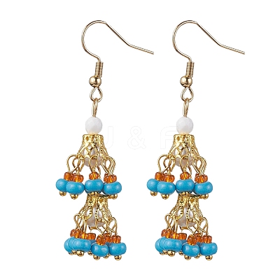 2 Pairs 2 Colors 304 Stainless Steel Dangle Earrings EJEW-MZ00130-1