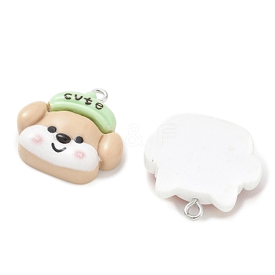 Opaque Resin Pendants RESI-A054-01-1