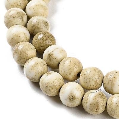 Natural Rainbow Alashan Agate Beads Strands G-NH0022-A04-01-1