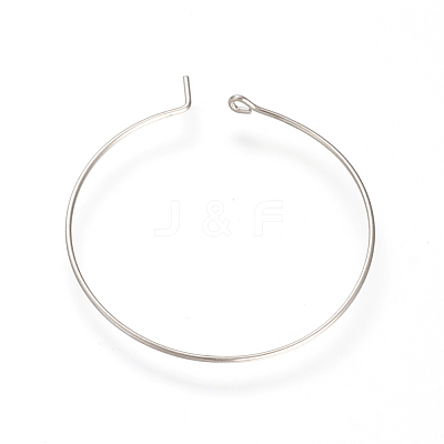Tarnish Resistant 304 Stainless Steel Hoop Earrings X-STAS-S066-14-1